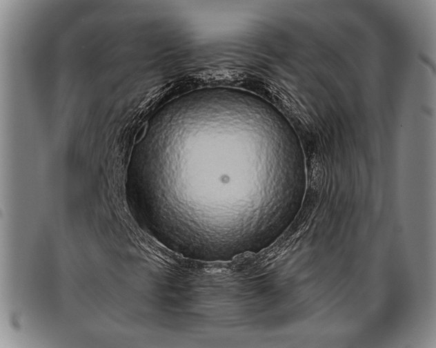 X0000096631297200802191147