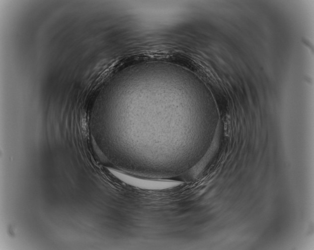 X0000096631298200802191147