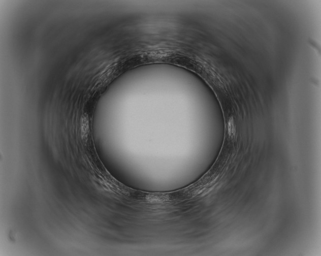 X0000096631299200802191147