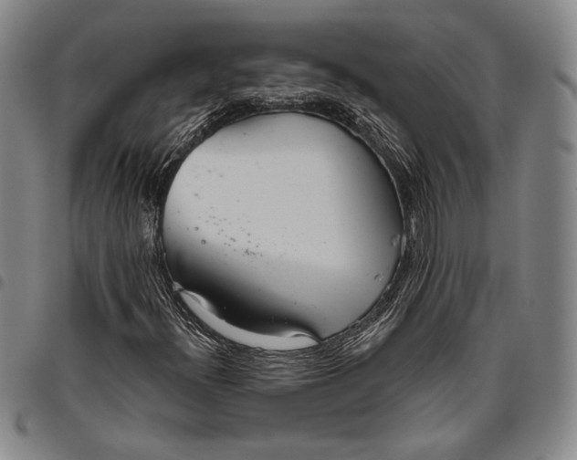 X0000096631300200802191147