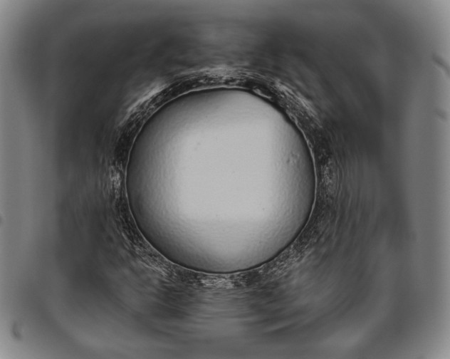 X0000096631302200802191147