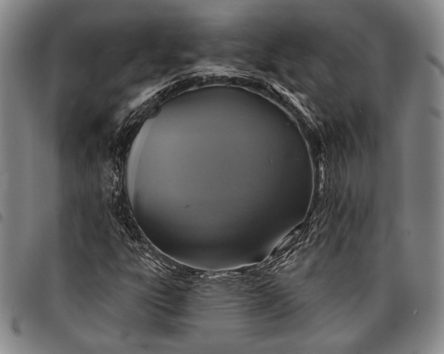 X0000096631303200802191147