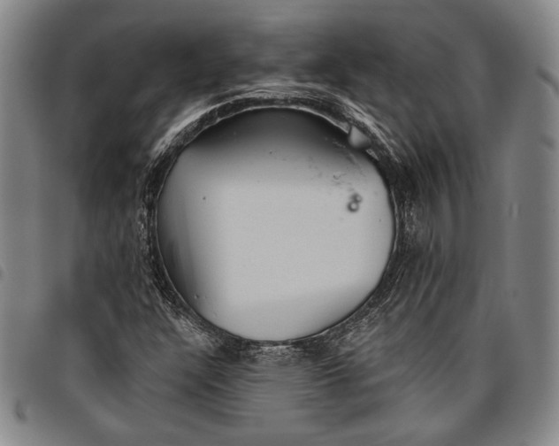 X0000096631304200802191147