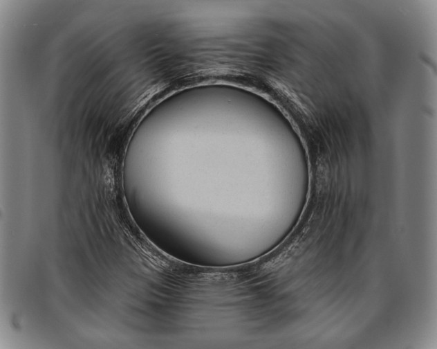 X0000096631305200802191147