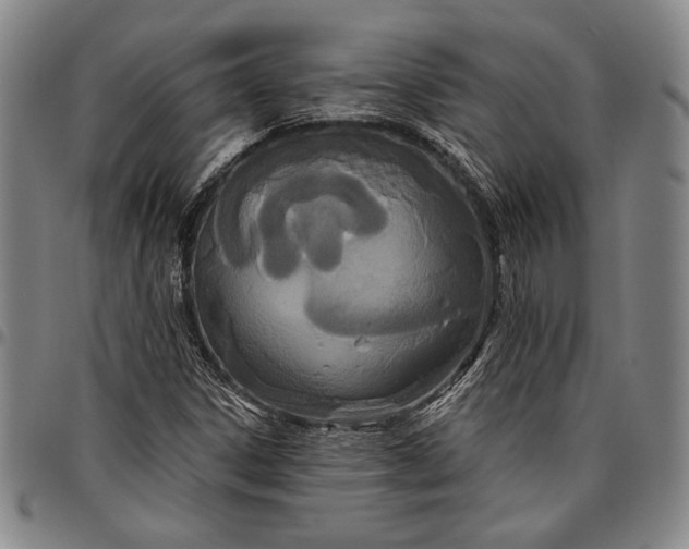 X0000096631306200802191147