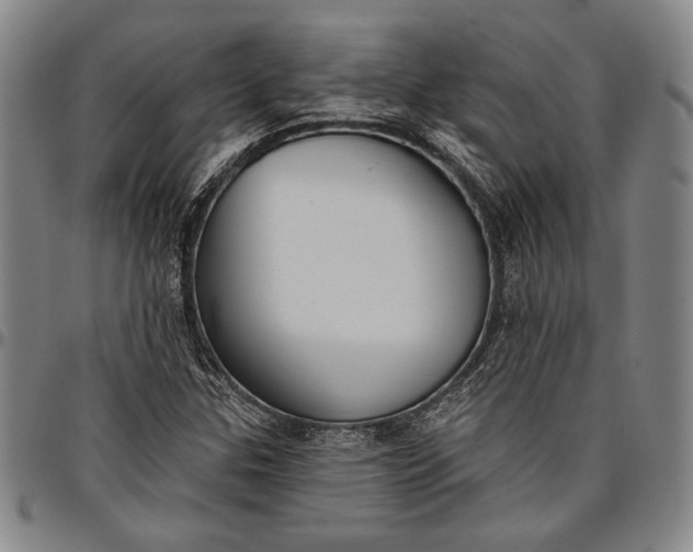 X0000096631307200802191147