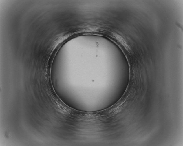 X0000096631308200802191147