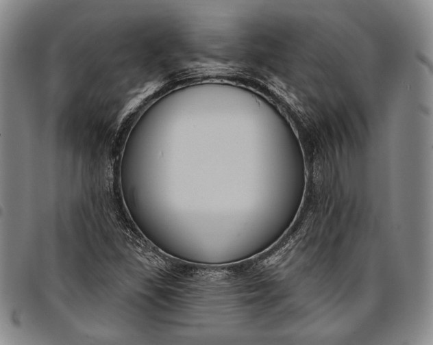 X0000096631309200802191147