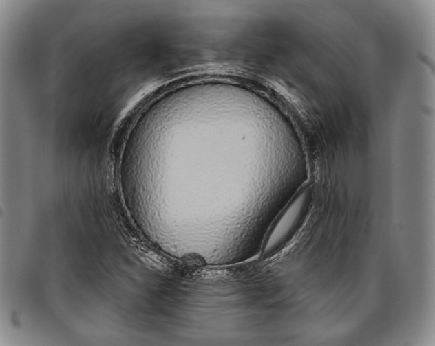 X0000096631310200802191147