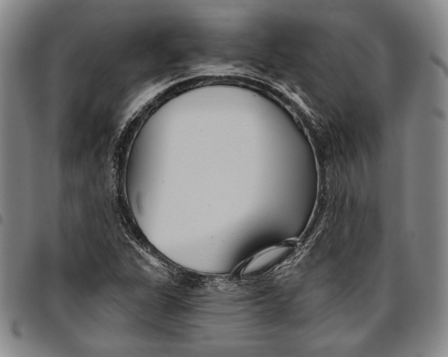 X0000096631311200802191147