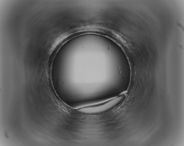X0000096631312200802191147
