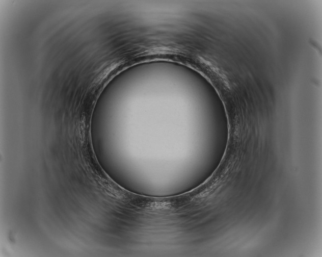 X0000096631313200802191147