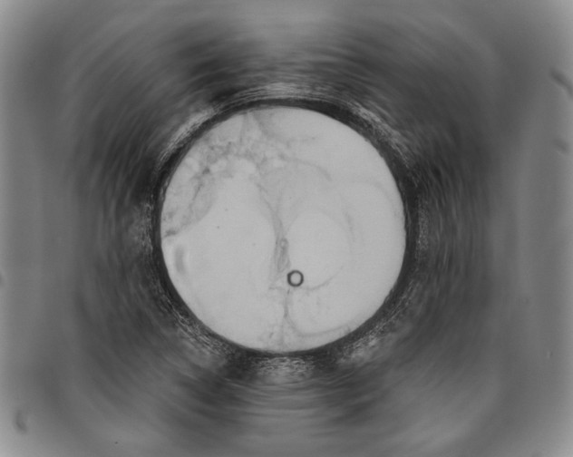 X0000096631314200802191147