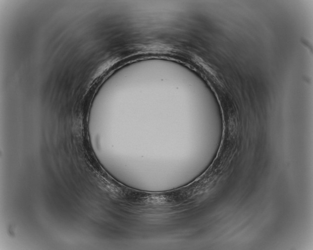 X0000096631315200802191147