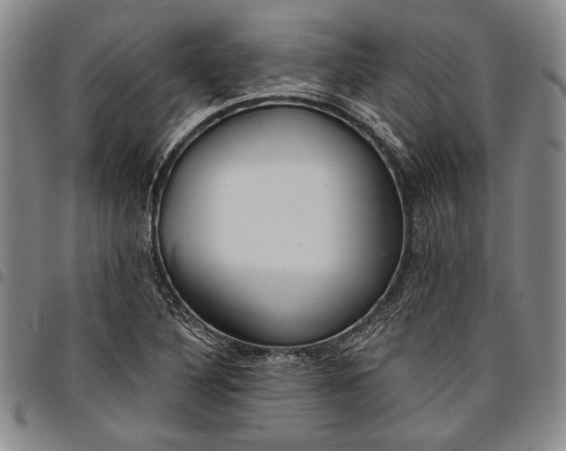 X0000096631316200802191147