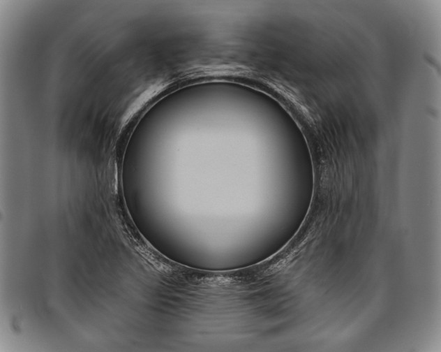 X0000096631317200802191147