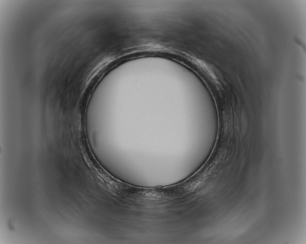 X0000096631318200802191147