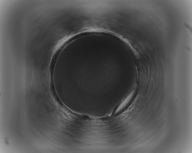 X0000096631319200802191147