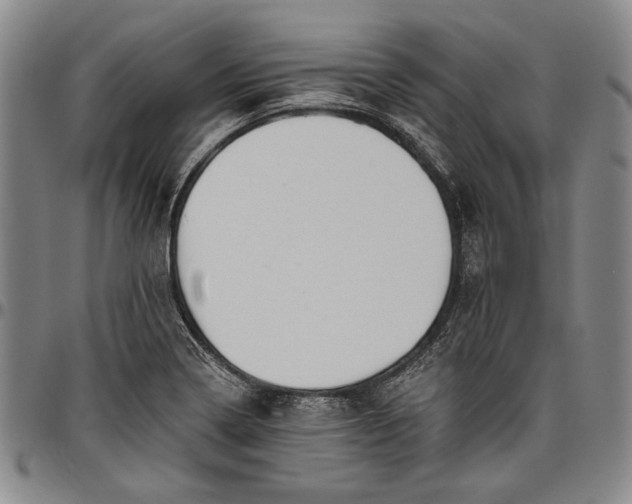X0000096631322200802191147