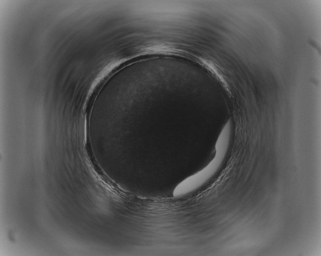 X0000096631323200802191147
