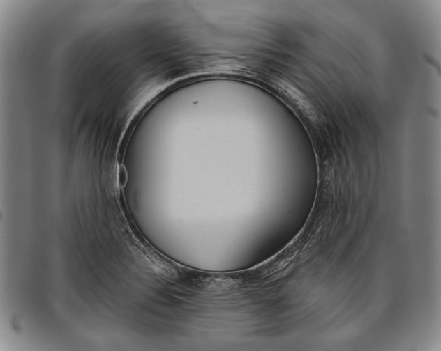 X0000096631324200802191147