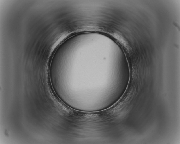 X0000096631325200802191147
