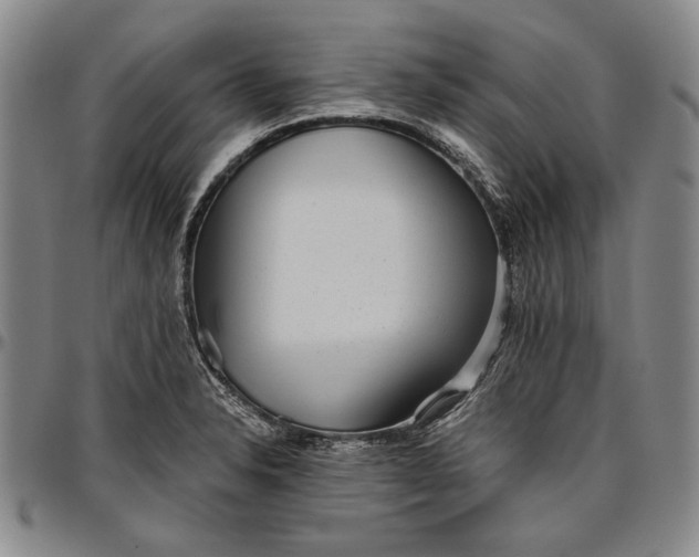 X0000096631326200802191147