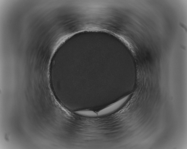 X0000096631327200802191147