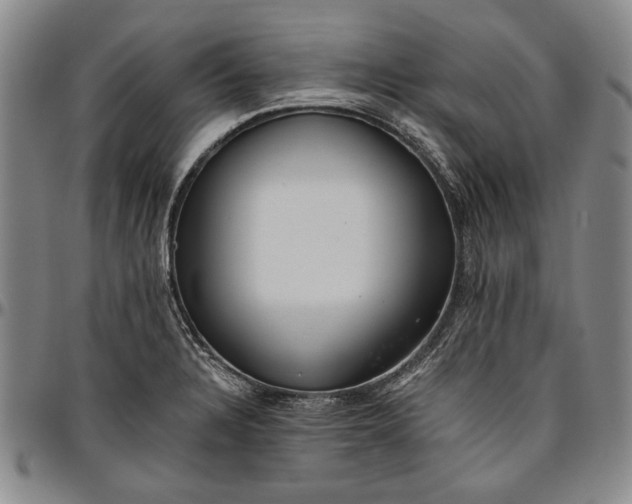 X0000096631328200802191147