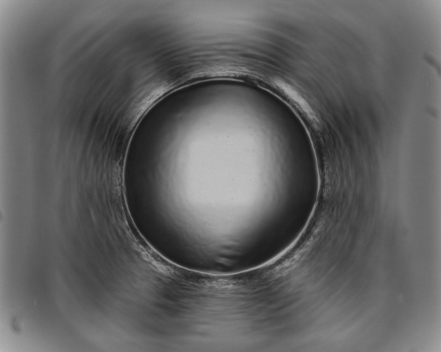 X0000096631329200802191147