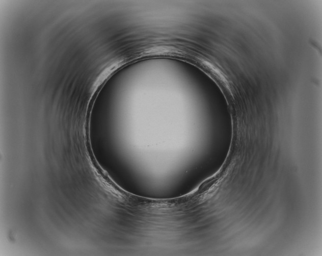 X0000096631330200802191147