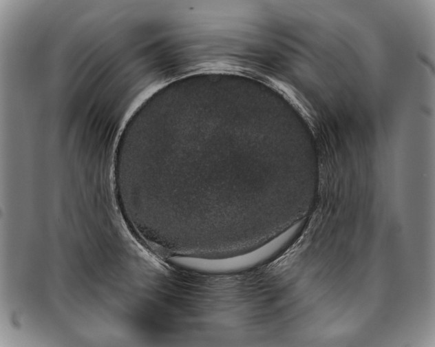 X0000096631331200802191147