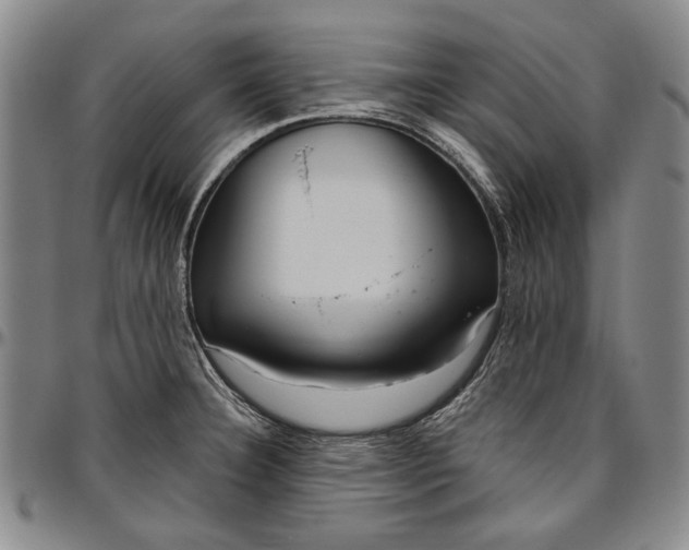 X0000096631332200802191147