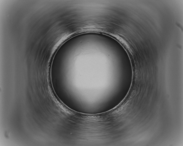 X0000096631333200802191147