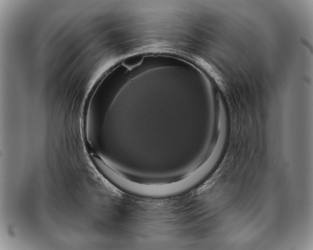 X0000096631334200802191147