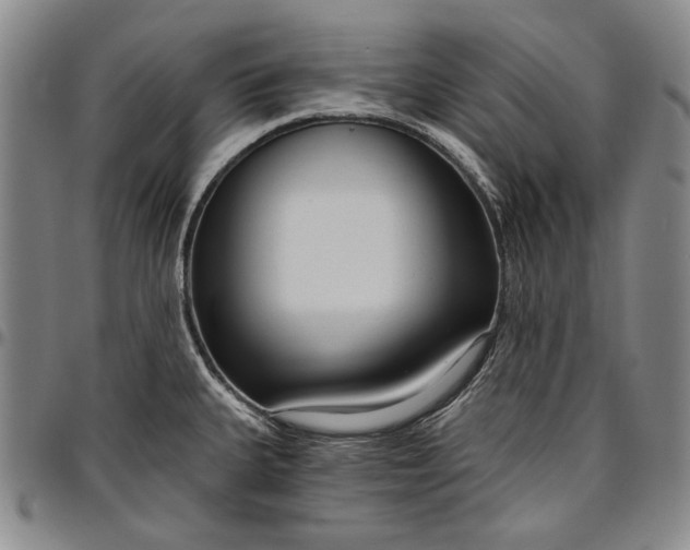 X0000096631335200802191147