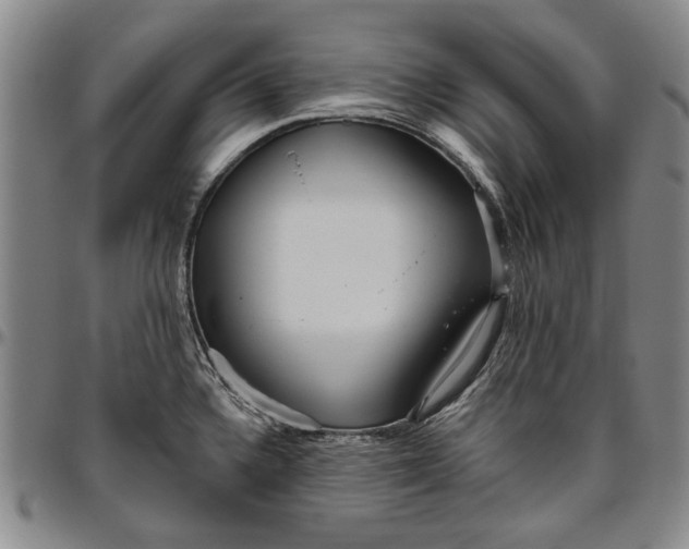 X0000096631336200802191147