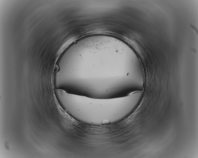 X0000096631338200802191147