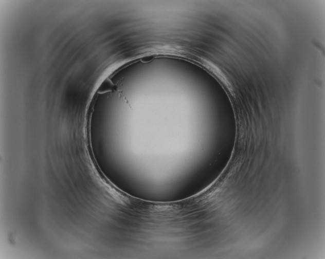 X0000096631339200802191147