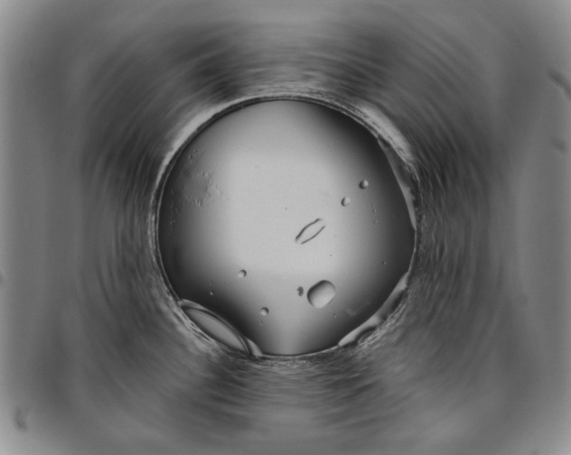 X0000096631340200802191147