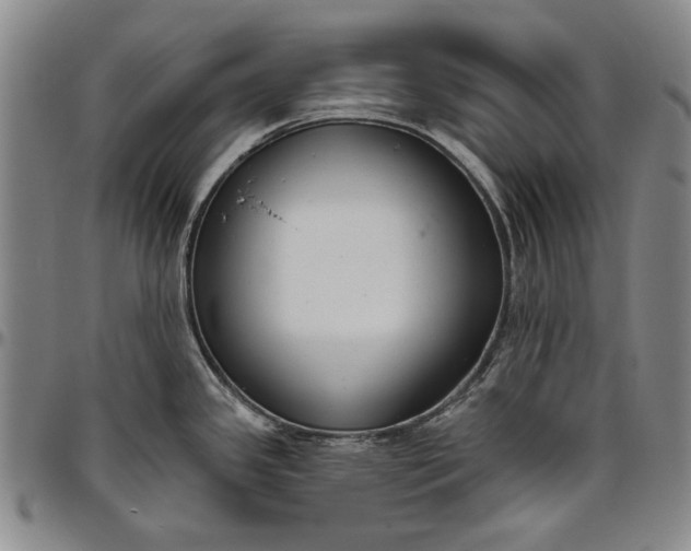 X0000096631341200802191147