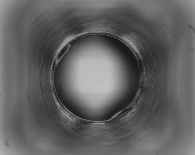 X0000096631342200802191147