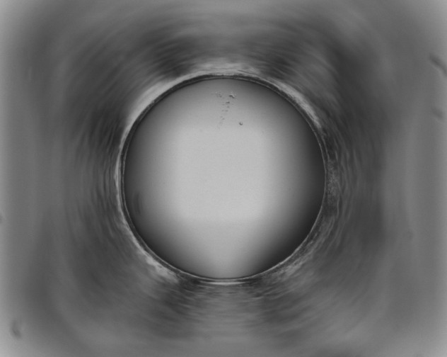 X0000096631343200802191148