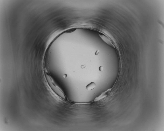 X0000096631344200802191148