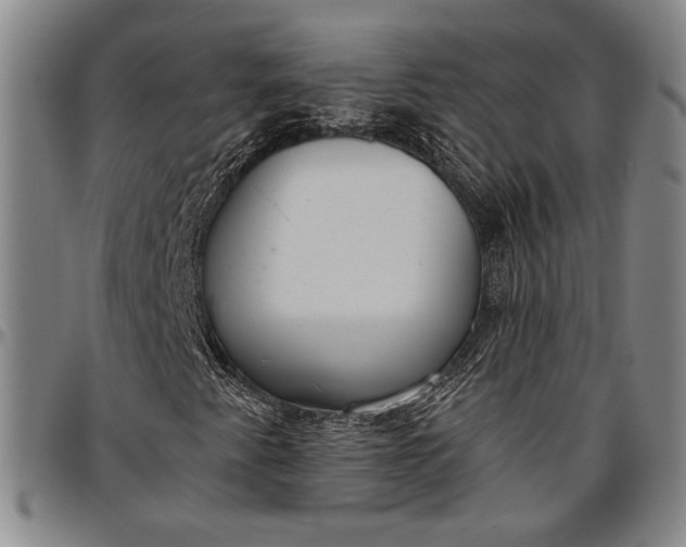 X0000096631345200802191147