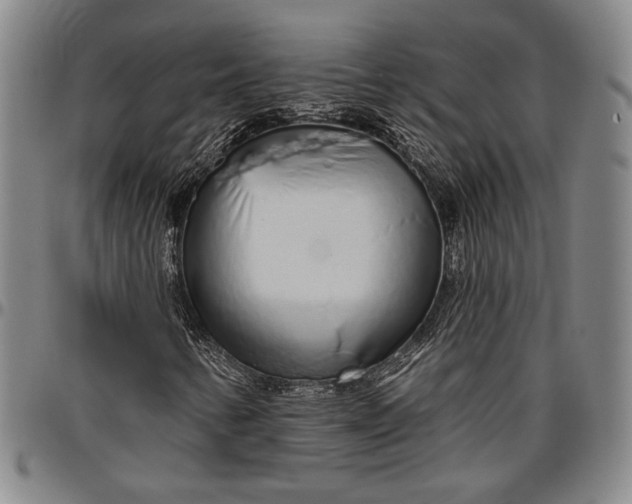 X0000096631346200802191147