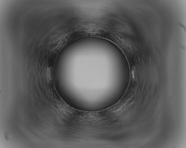 X0000096631347200802191147