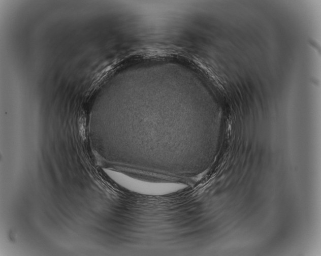 X0000096631348200802191147