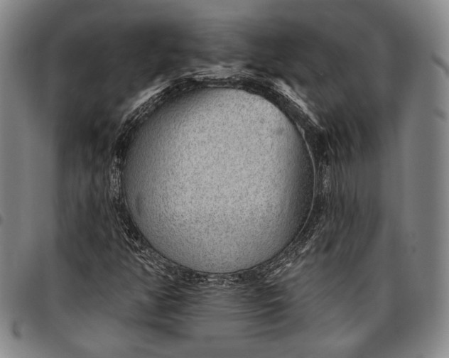 X0000096631350200802191147