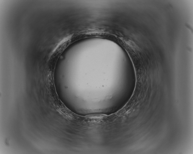 X0000096631351200802191147